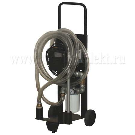 Piusi Depuroil 60 (F00503100)