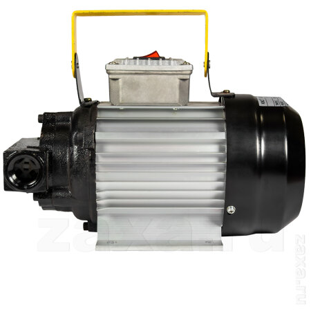 Насос Petroll Lunar 40 (220В) для масла