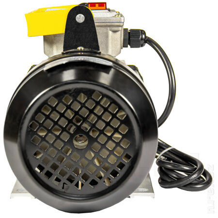 Насос Petroll Lunar 40 (220В) для масла