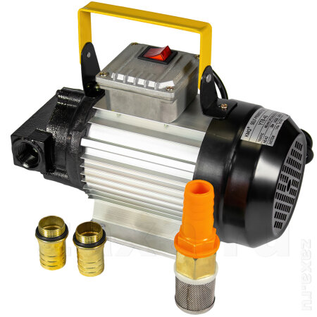 Насос Petroll Lunar 40 (220В) для масла