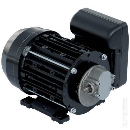 Насос Piusi GARDA-5 220V для смазочных масел (NMT450006)