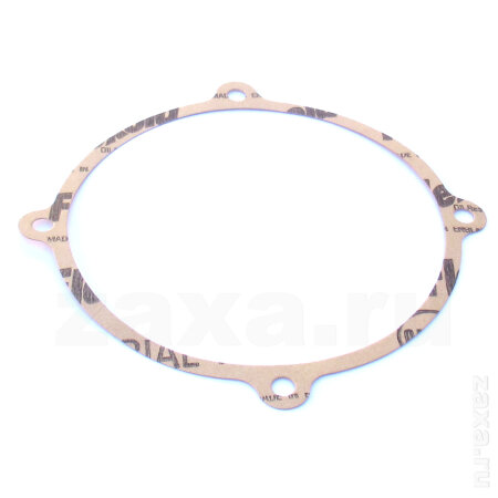 R20138000 Piusi ремкомплект насоса E300 (уплотнитель)