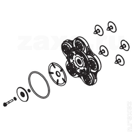 R15979000 Piusi Комплект мембраны насосной камеры Suzzarablue