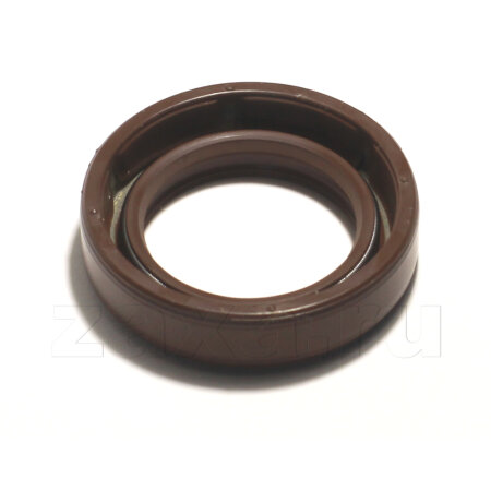 Сальник насоса Piusi Е80/Е120/Viscomat (R08772000)