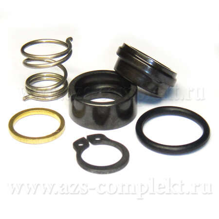 Ремкомплект насоса Panther 56/72 сальники (R11737000)